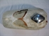 Picture of TANK, GAS, H/R, F/GLASS, USED