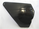 Picture of PANEL, 68-9, 250, R/H