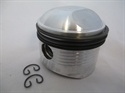 Picture of PISTON, 060, B44