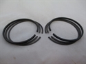 Picture of RINGS, 020, TRI, T100, 58-74