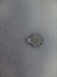 Picture of COVER, NEIMAN FORK LOCK