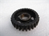 Picture of GEAR, L/S, 1ST, 29T, CUB