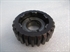 Picture of GEAR, M/S, 3RD, 24T, SINGLE, U