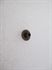 Picture of NUT, OIL RLSE BUTTON SHT, U