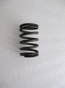 Picture of SPRING, VALVE, T120, OUTER, U