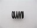 Picture of SPRING, VLV, OUTER, T100 UNI