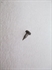 Picture of POINTER, IGNITION TIMING