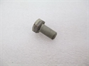 Picture of BOLT