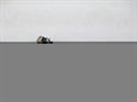 Picture of TAPPET, TIMED, EX, 3/4 RADIU