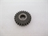 Picture of GEAR, L/S, 1ST, 24T, CR