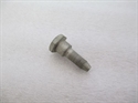 Picture of BOLT
