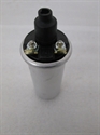 Picture of COIL, IGN, 12V, 17M12, ORIENT