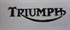 Picture of DECAL, TRIUMPH, BLK/CHROME