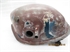 Picture of TANK, OIL, 66-67, 500/650, US